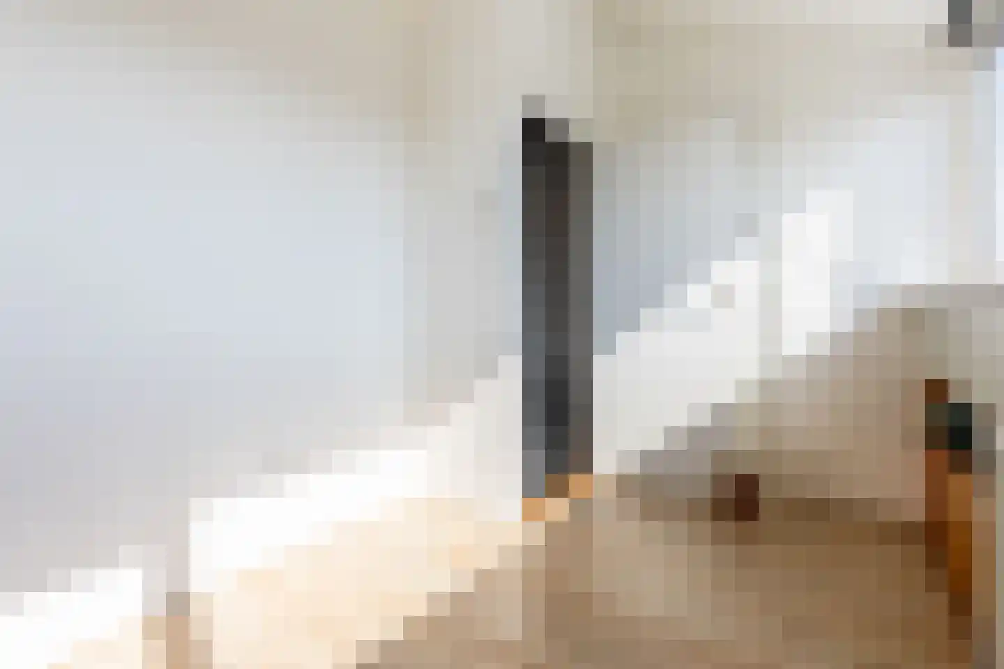 Coen Botrede 13 Capelle aan den IJssel thumbnail 41
