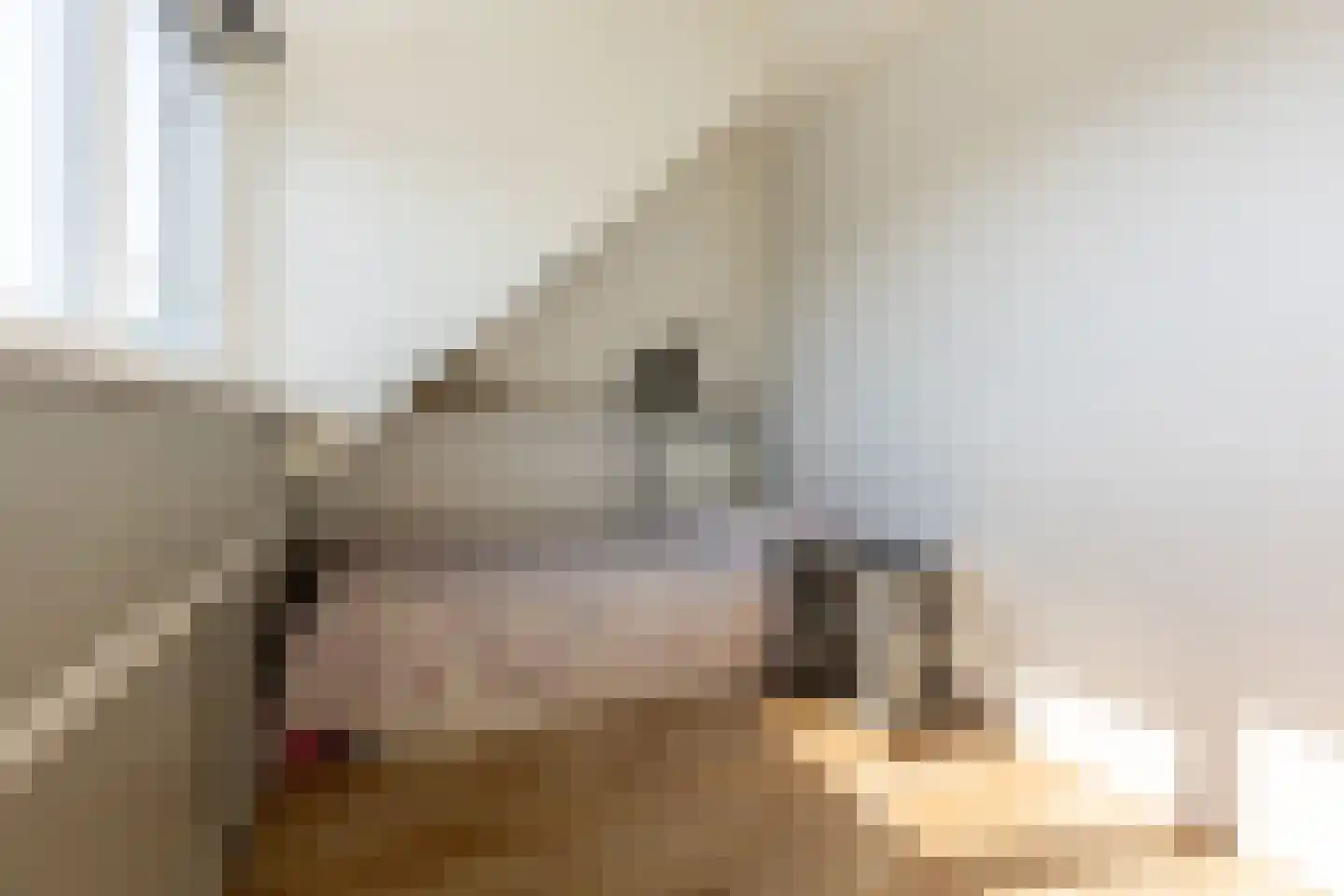 Coen Botrede 13 Capelle aan den IJssel thumbnail 42