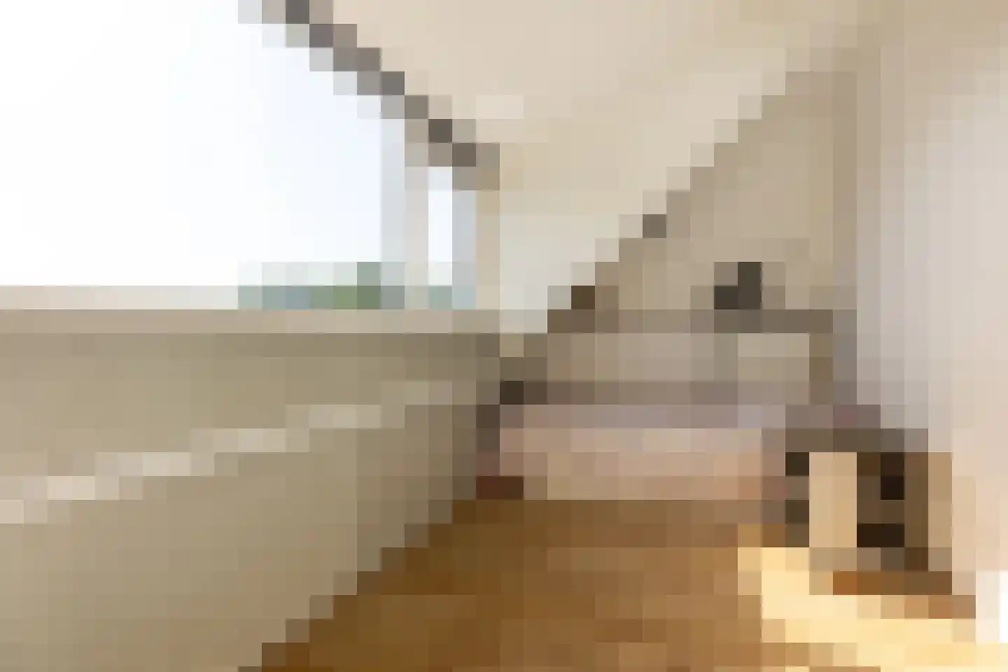 Coen Botrede 13 Capelle aan den IJssel thumbnail 43