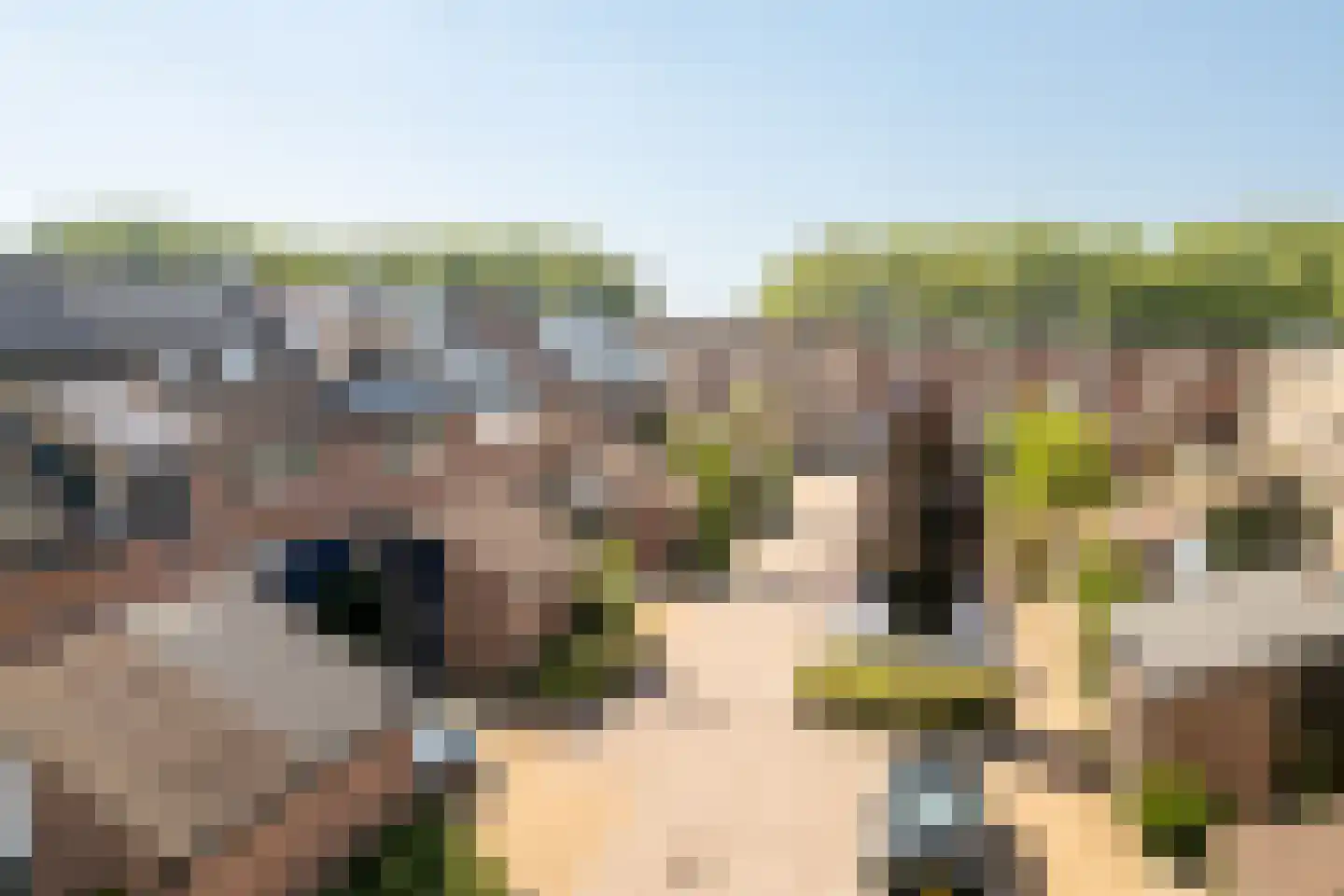 Coen Botrede 13 Capelle aan den IJssel thumbnail 49