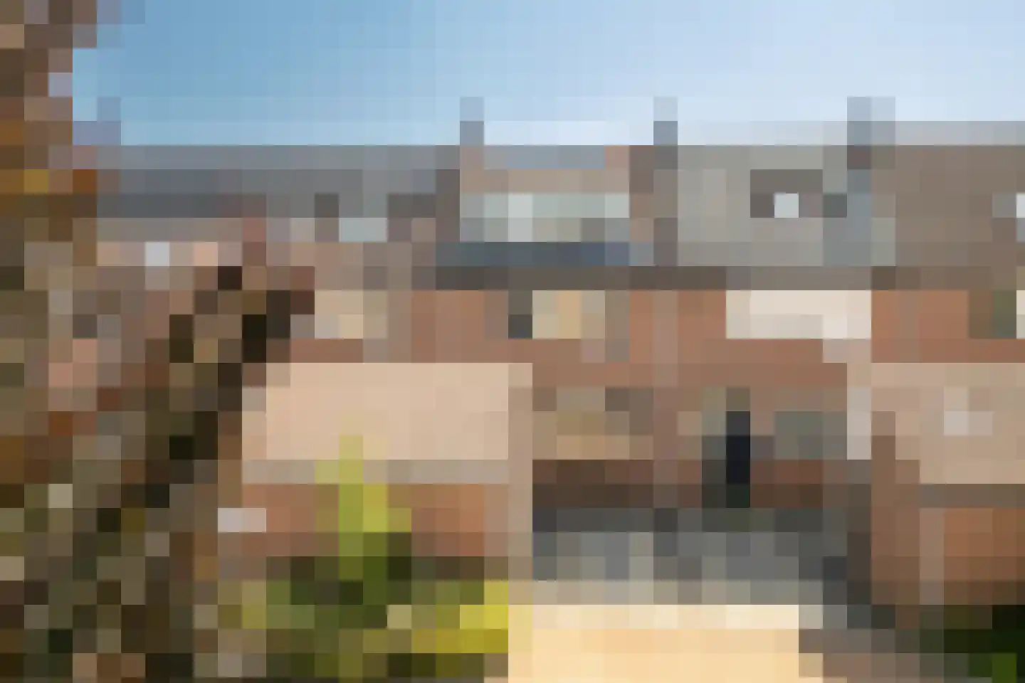 Coen Botrede 13 Capelle aan den IJssel thumbnail 6