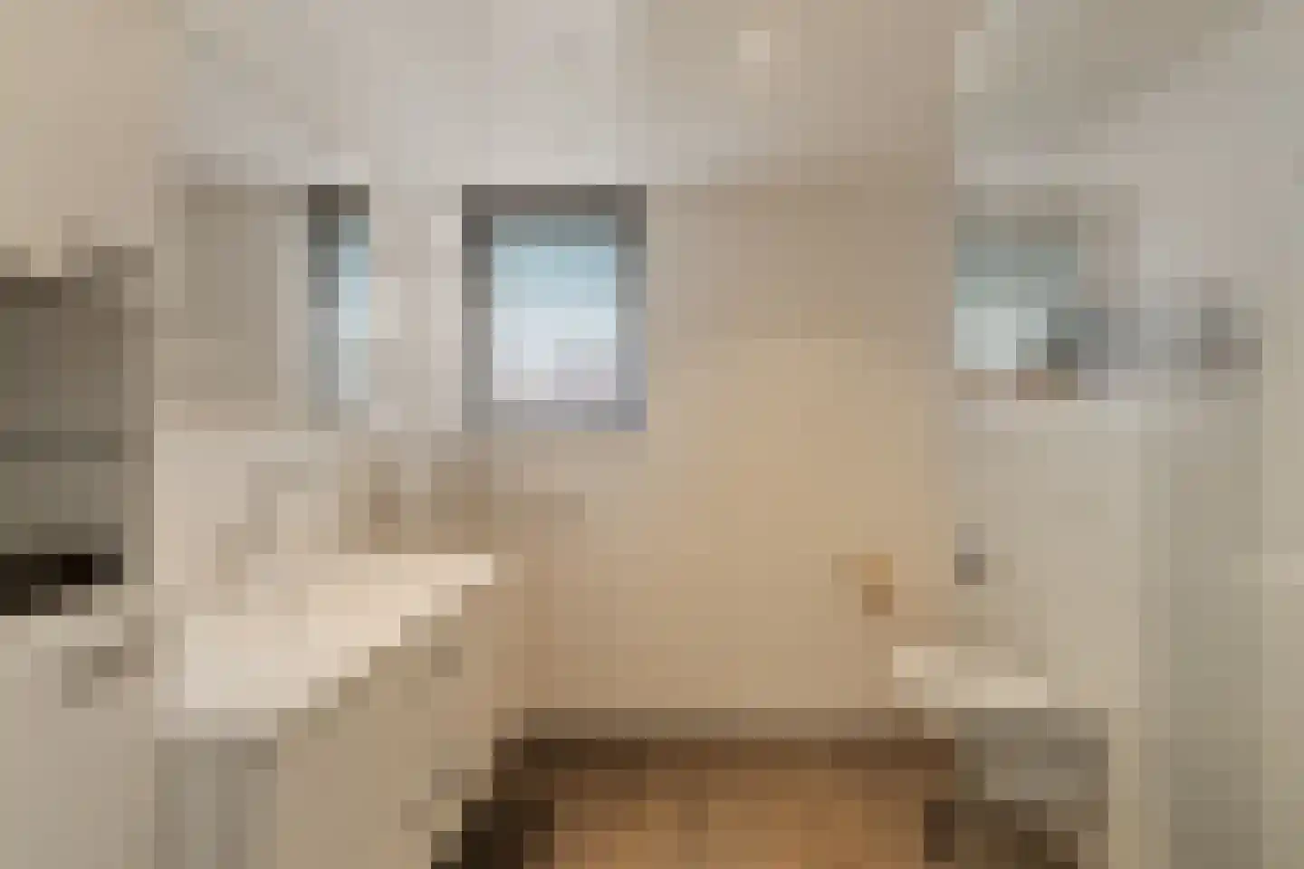 Coen Botrede 19 Capelle aan den IJssel thumbnail 20