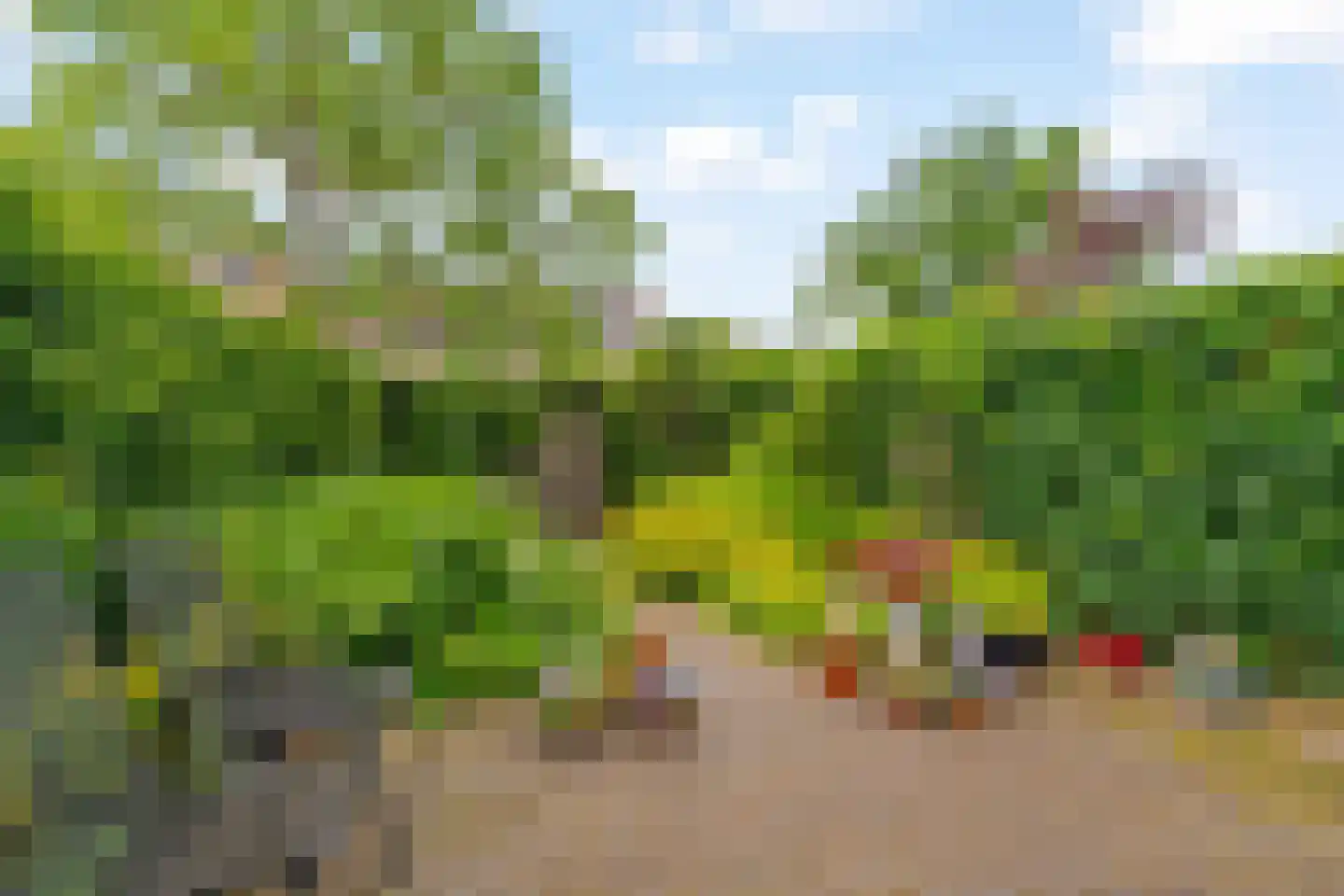 Coen Botrede 19 Capelle aan den IJssel thumbnail 25