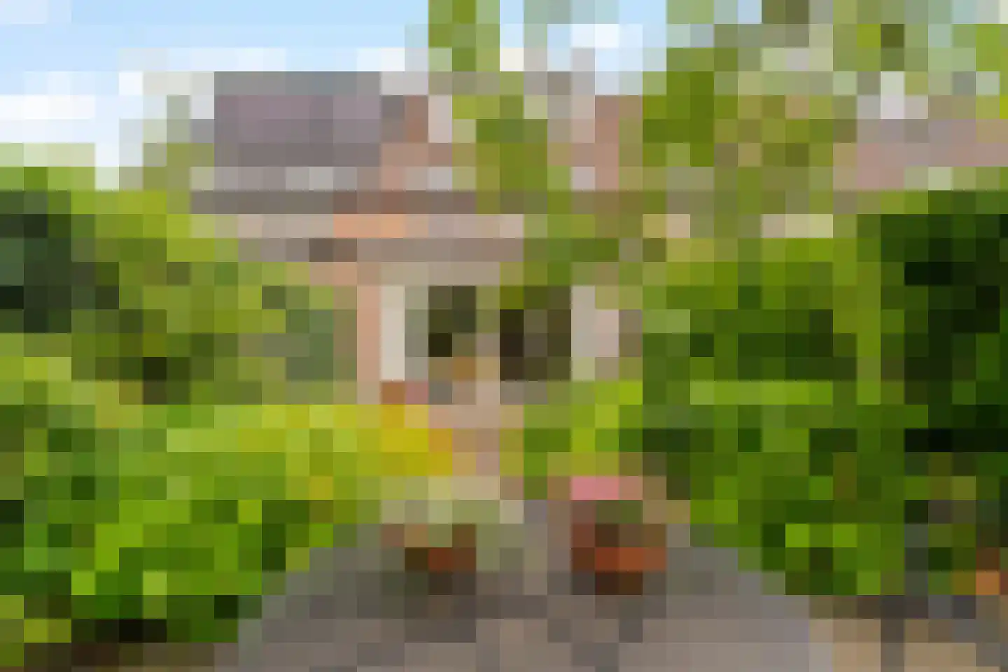 Coen Botrede 19 Capelle aan den IJssel thumbnail 26