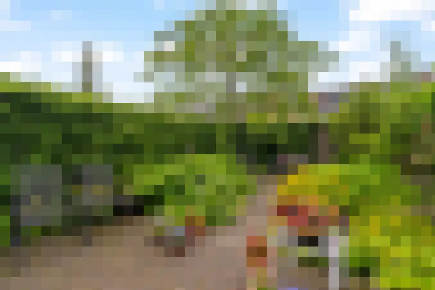 Coen Botrede 19 Capelle aan den IJssel thumbnail 4
