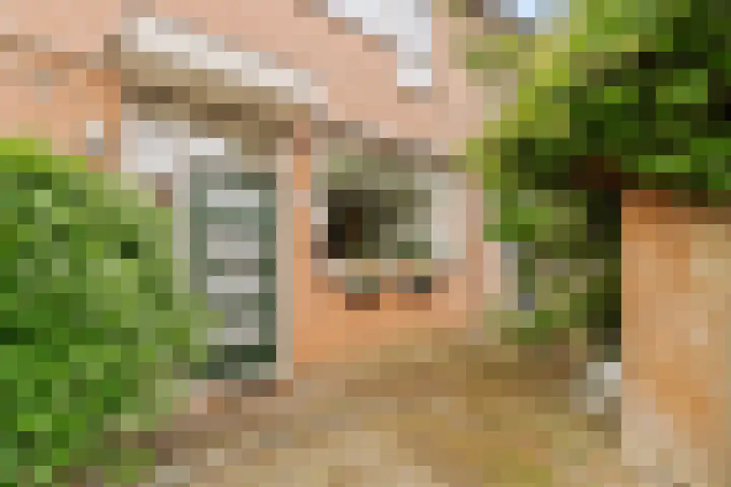 Coen Botrede 19 Capelle aan den IJssel thumbnail 5