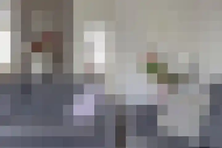 Coen Botrede 55 Capelle aan den IJssel thumbnail 11
