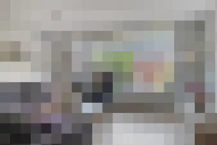 Coen Botrede 55 Capelle aan den IJssel thumbnail 12