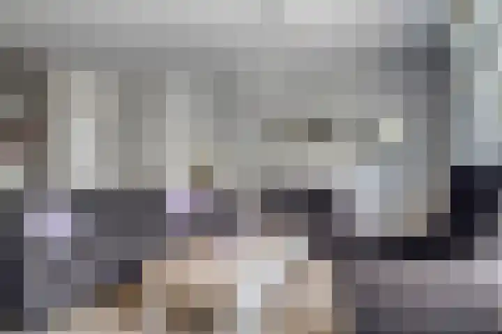 Coen Botrede 55 Capelle aan den IJssel thumbnail 13