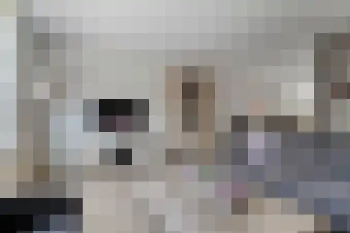 Coen Botrede 55 Capelle aan den IJssel thumbnail 14