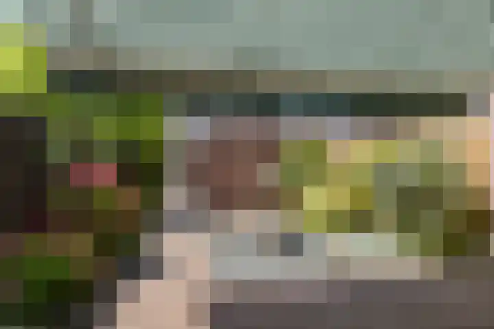 Coen Botrede 55 Capelle aan den IJssel thumbnail 15