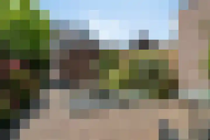 Coen Botrede 55 Capelle aan den IJssel thumbnail 16