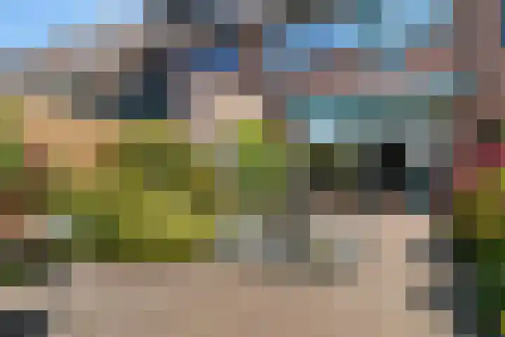 Coen Botrede 55 Capelle aan den IJssel thumbnail 17