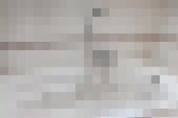Coen Botrede 55 Capelle aan den IJssel thumbnail 30
