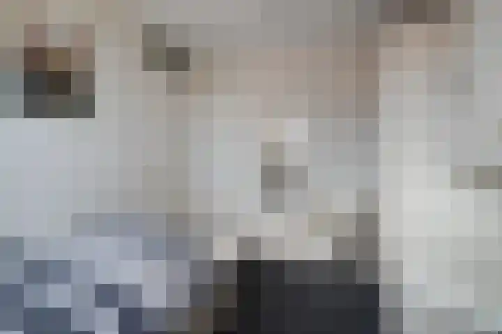 Coen Botrede 55 Capelle aan den IJssel thumbnail 32