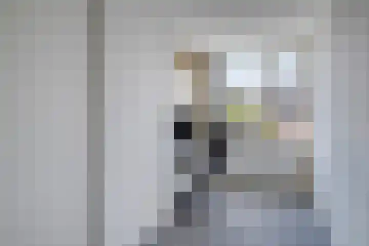 Coen Botrede 55 Capelle aan den IJssel thumbnail 33