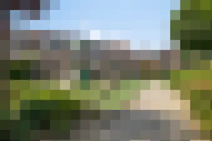 Coen Botrede 55 Capelle aan den IJssel thumbnail 37