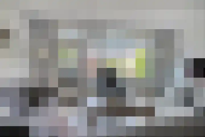 Coen Botrede 55 Capelle aan den IJssel thumbnail 4