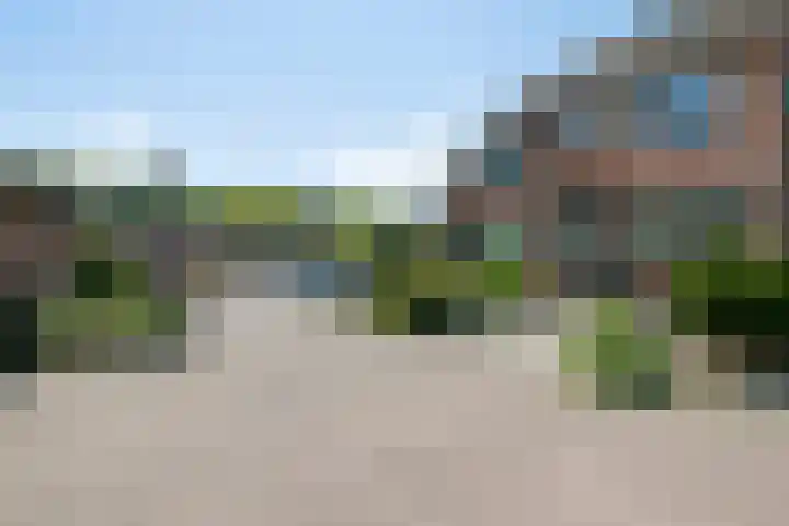 Coen Botrede 55 Capelle aan den IJssel thumbnail 5