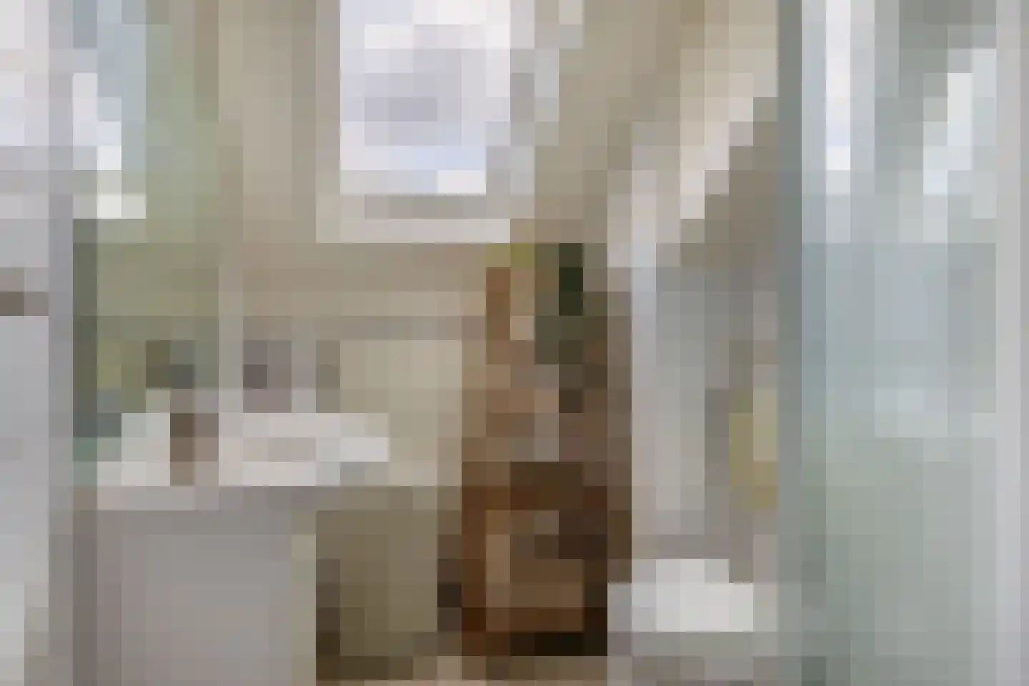 Coen Botrede 6 Capelle aan den IJssel thumbnail 20