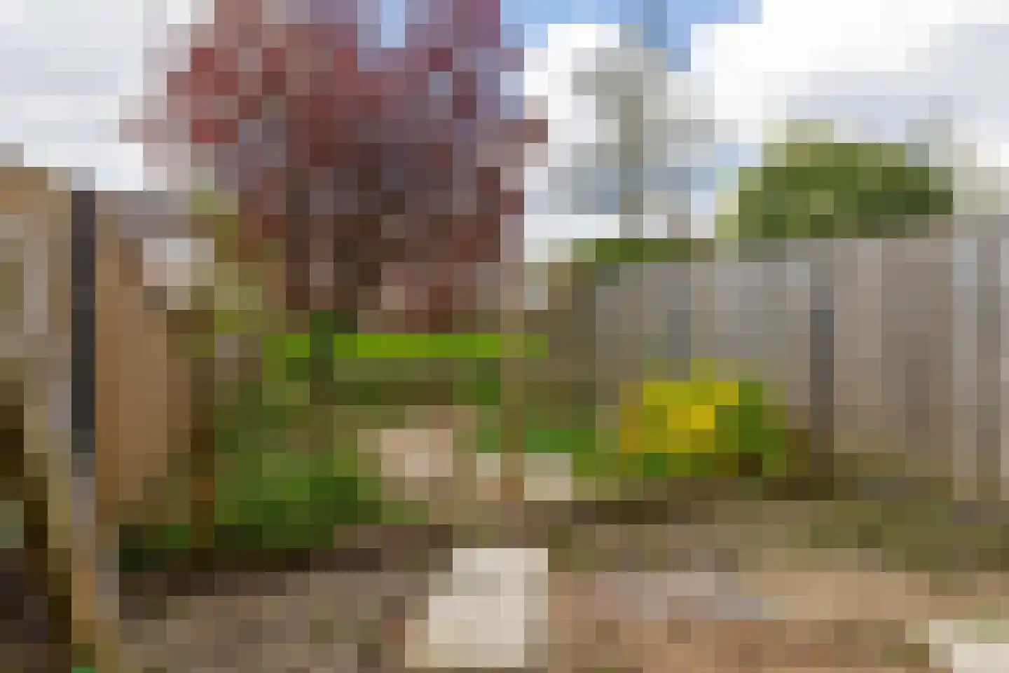 Coen Botrede 6 Capelle aan den IJssel thumbnail 31