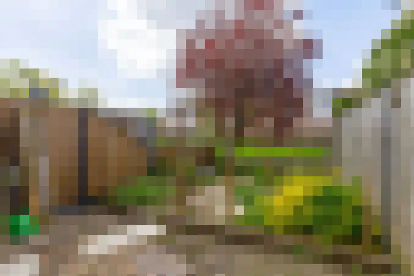 Coen Botrede 6 Capelle aan den IJssel thumbnail 32
