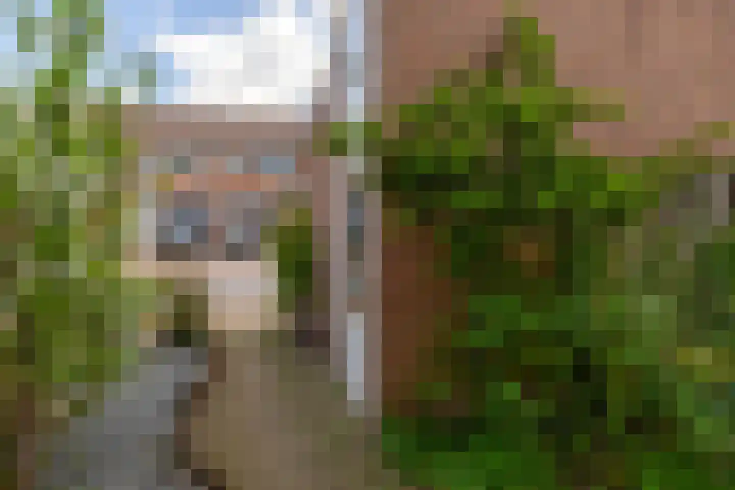 Coen Botrede 6 Capelle aan den IJssel thumbnail 6