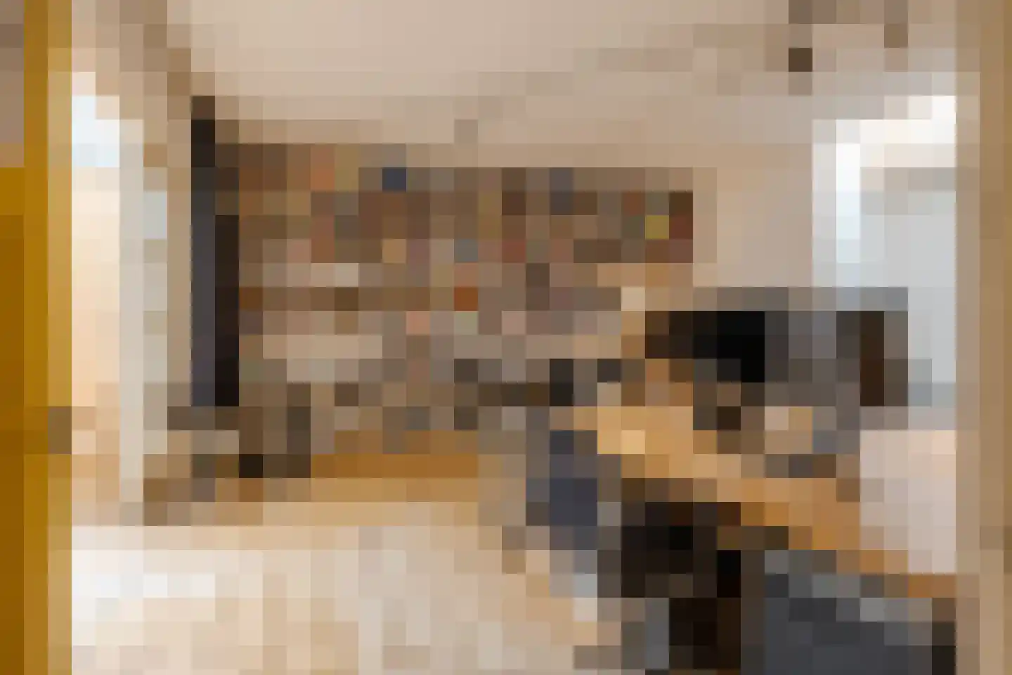 Coen Cuserhof 29 Haarlem thumbnail 18