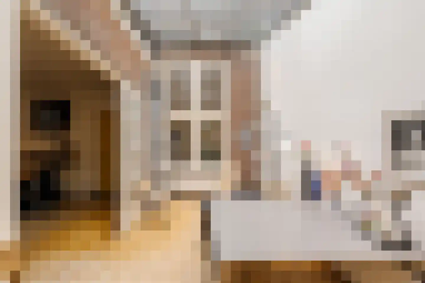Coen Cuserhof 29 Haarlem thumbnail 22