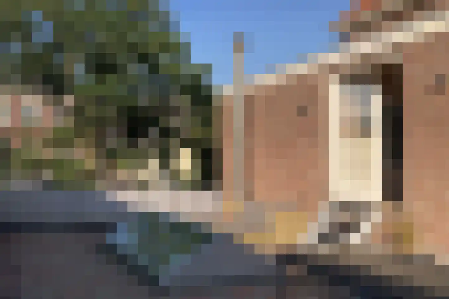 Coen Cuserhof 29 Haarlem thumbnail 49