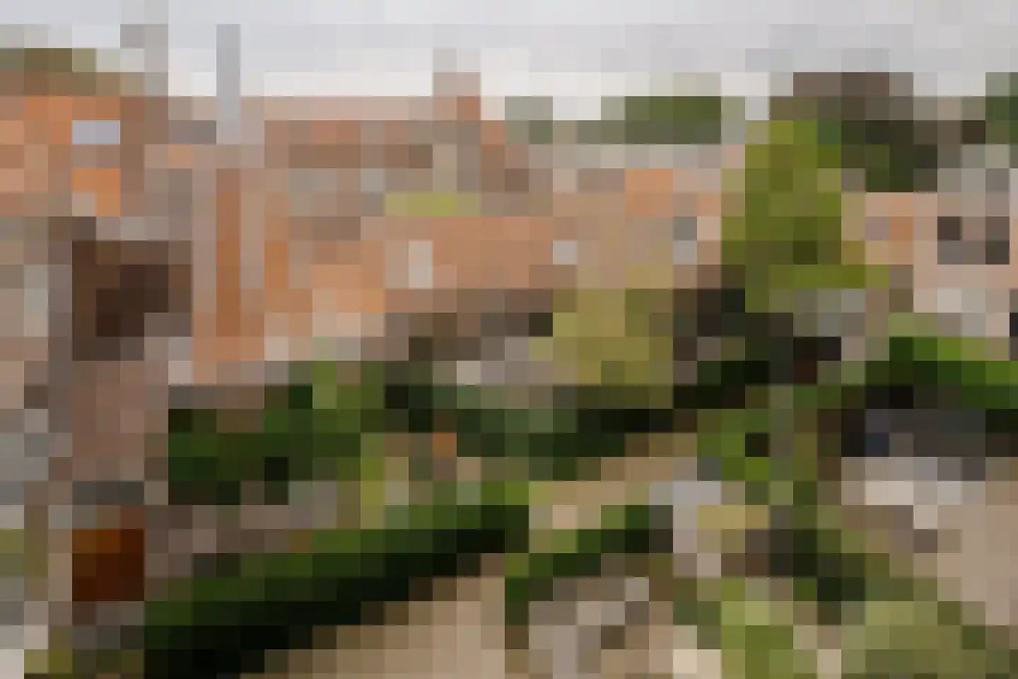 Coen Cuserhof 29 Haarlem thumbnail 68