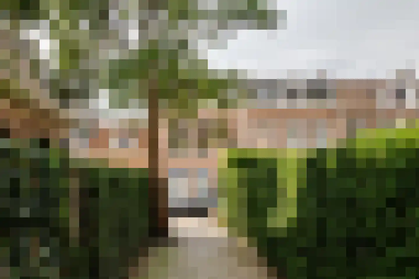 Coen Cuserhof 29 Haarlem thumbnail 70
