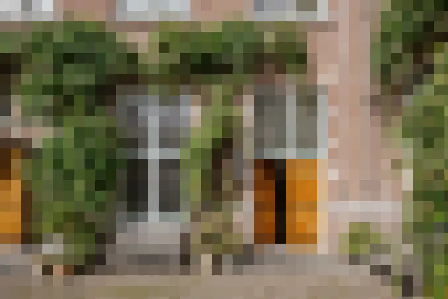 Coen Cuserhof 29 Haarlem thumbnail 8