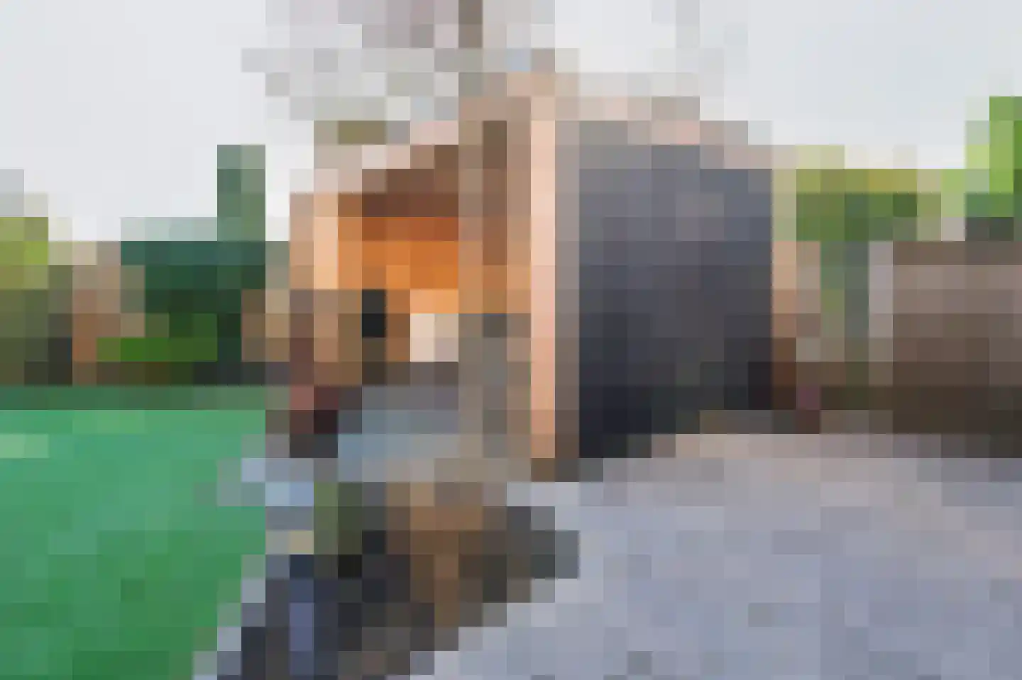Coen van Boshuizenlaan 25 Ouderkerk aan de Amstel thumbnail 20
