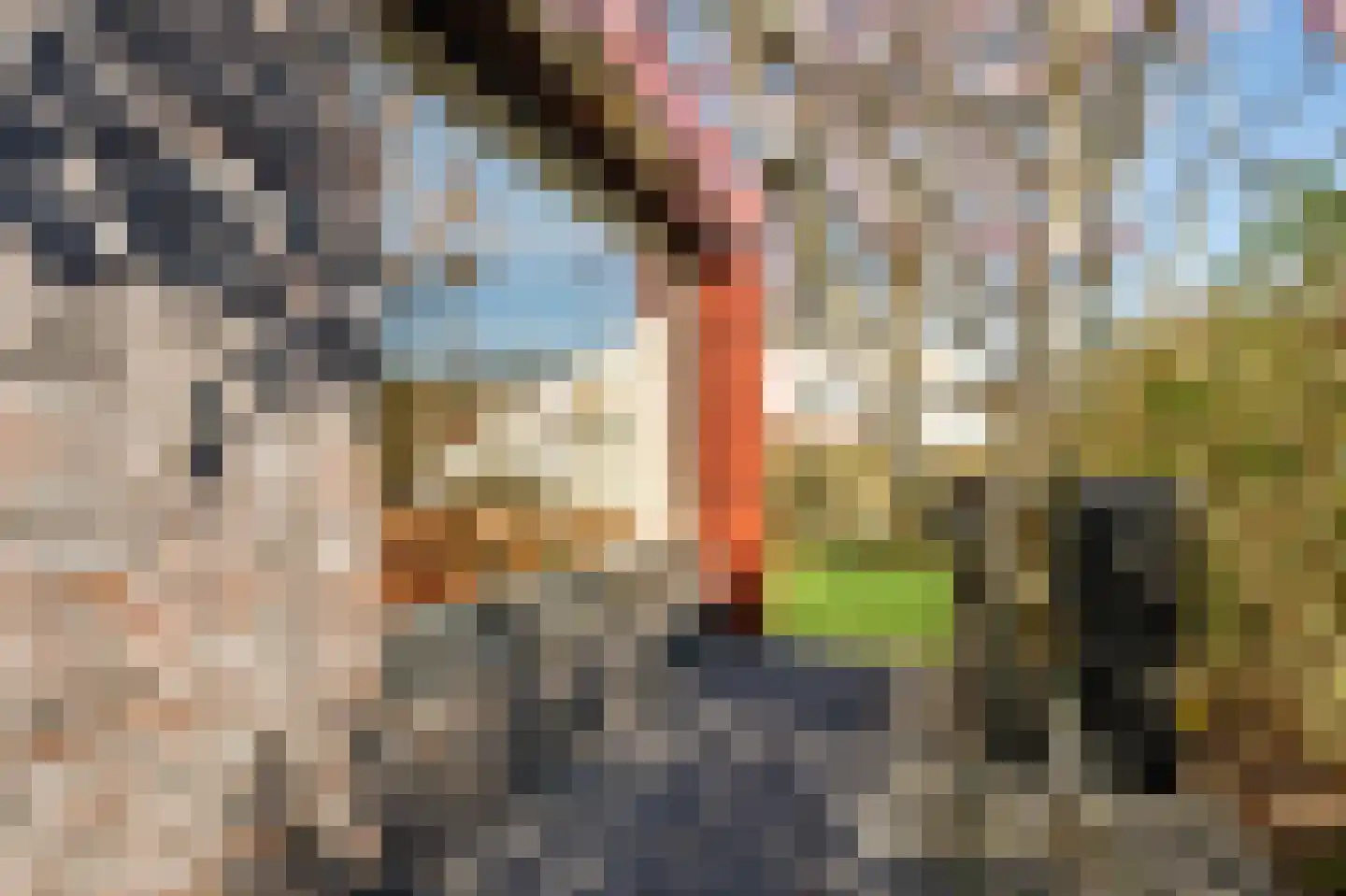 Coen van Boshuizenlaan 25 Ouderkerk aan de Amstel thumbnail 25