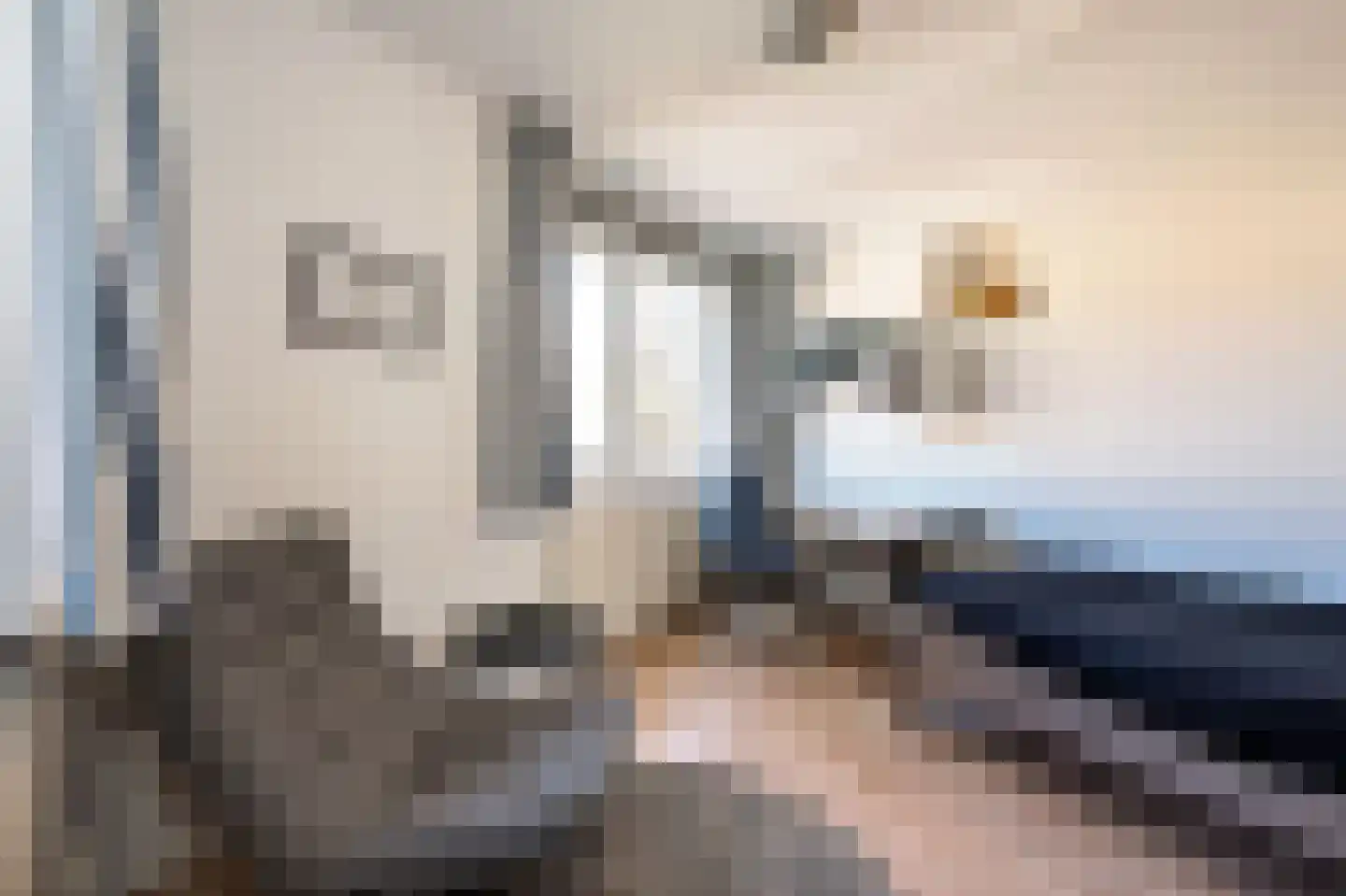 Coen van Boshuizenlaan 25 Ouderkerk aan de Amstel thumbnail 34
