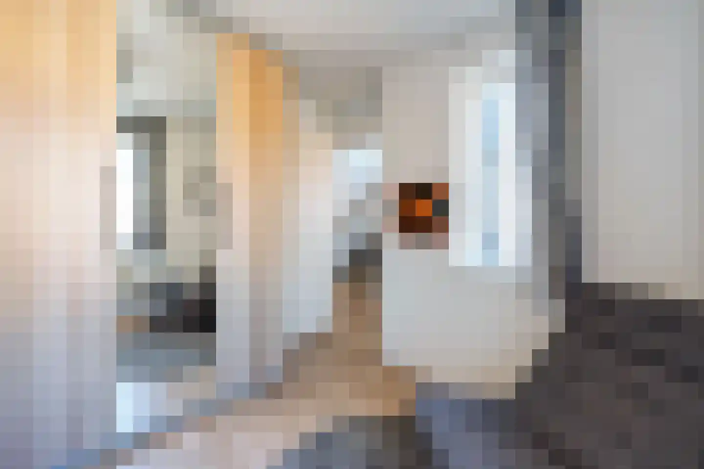 Coen van Boshuizenlaan 25 Ouderkerk aan de Amstel thumbnail 35
