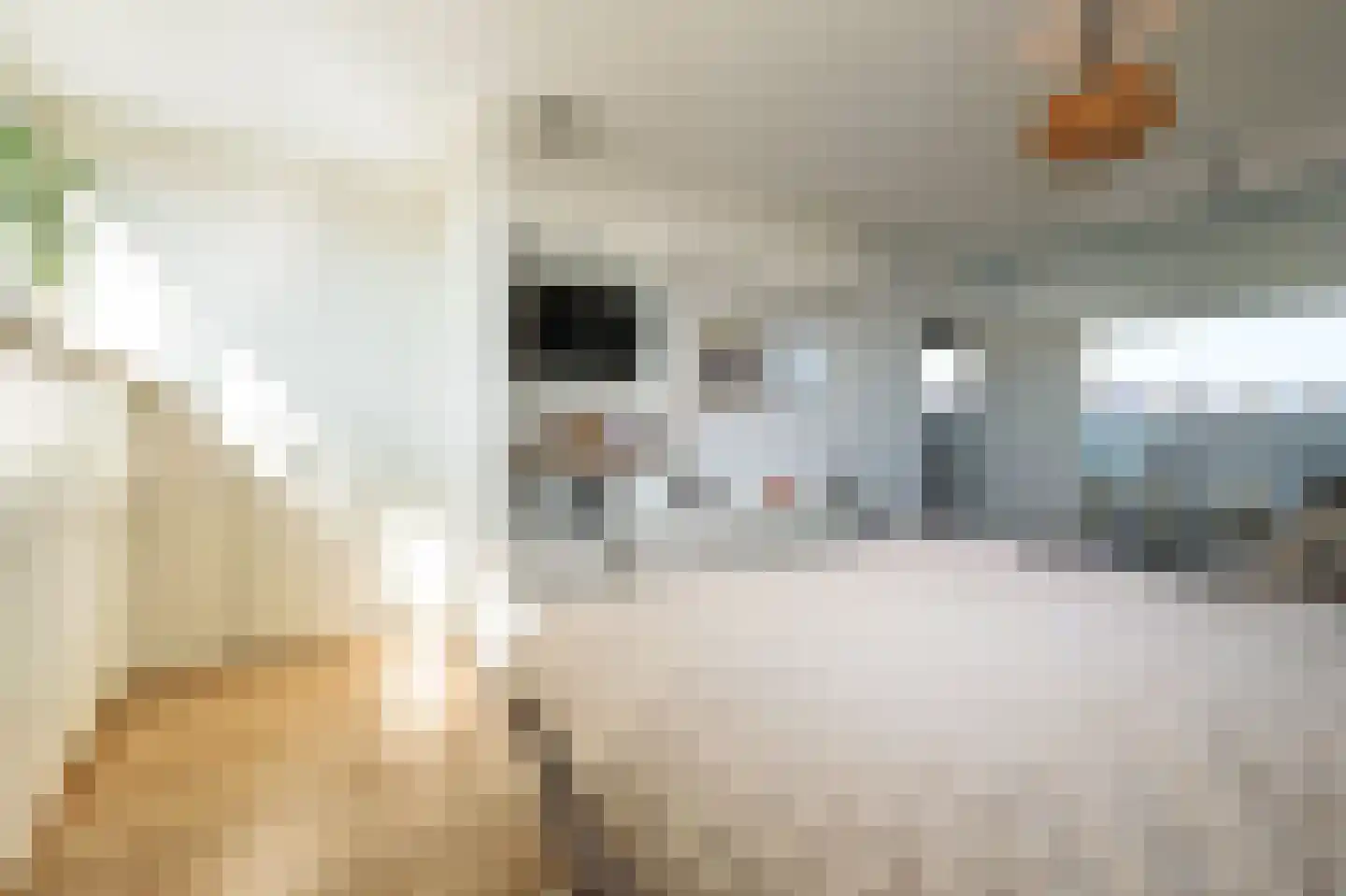 Coen van Boshuizenlaan 25 Ouderkerk aan de Amstel thumbnail 44