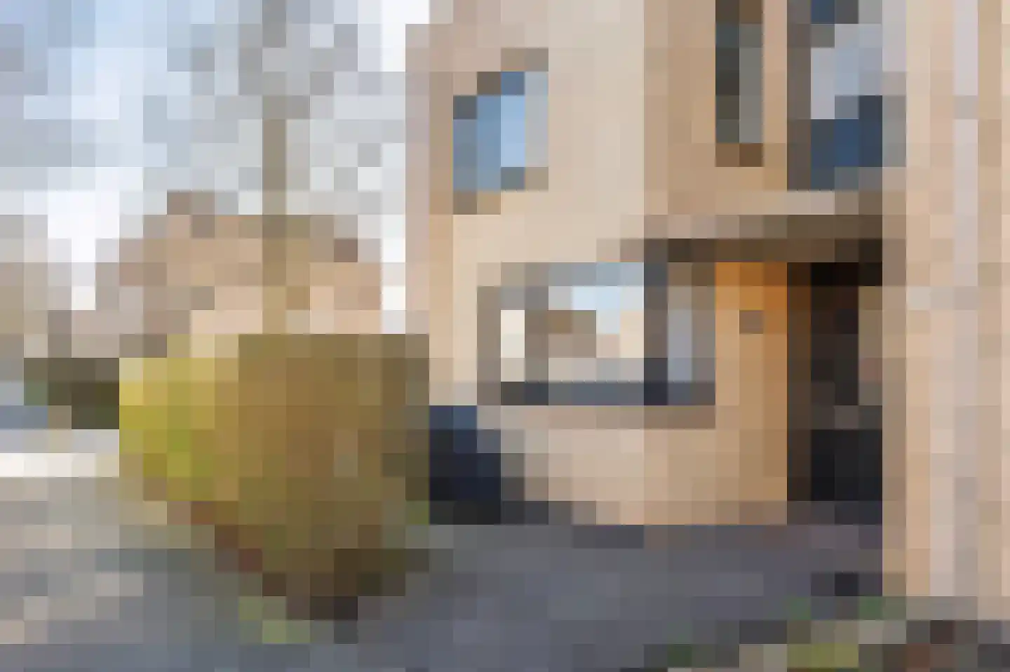 Coen van Boshuizenlaan 25 Ouderkerk aan de Amstel thumbnail 48