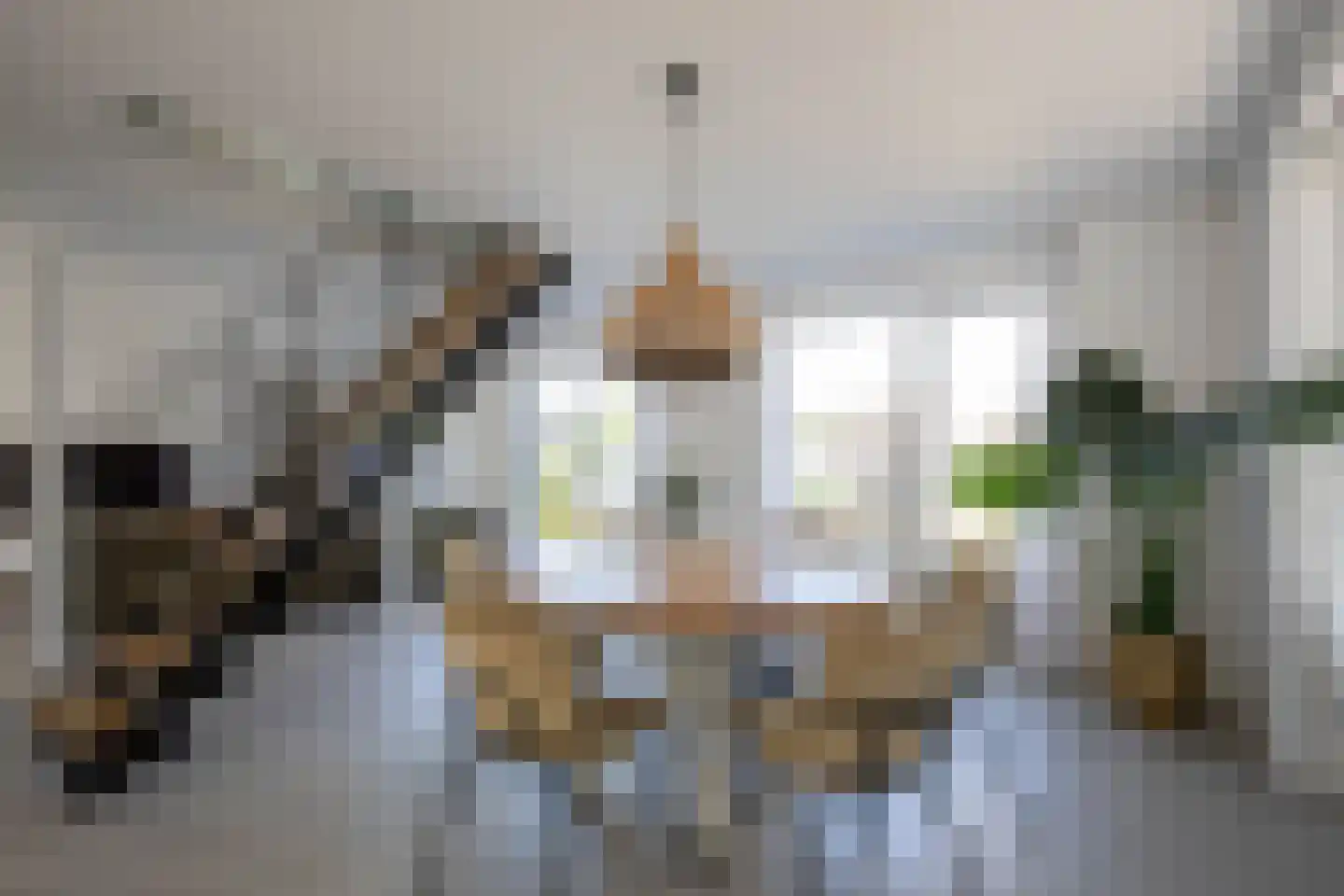 Coen van Boshuizenlaan 75 Ouderkerk aan de Amstel thumbnail 17