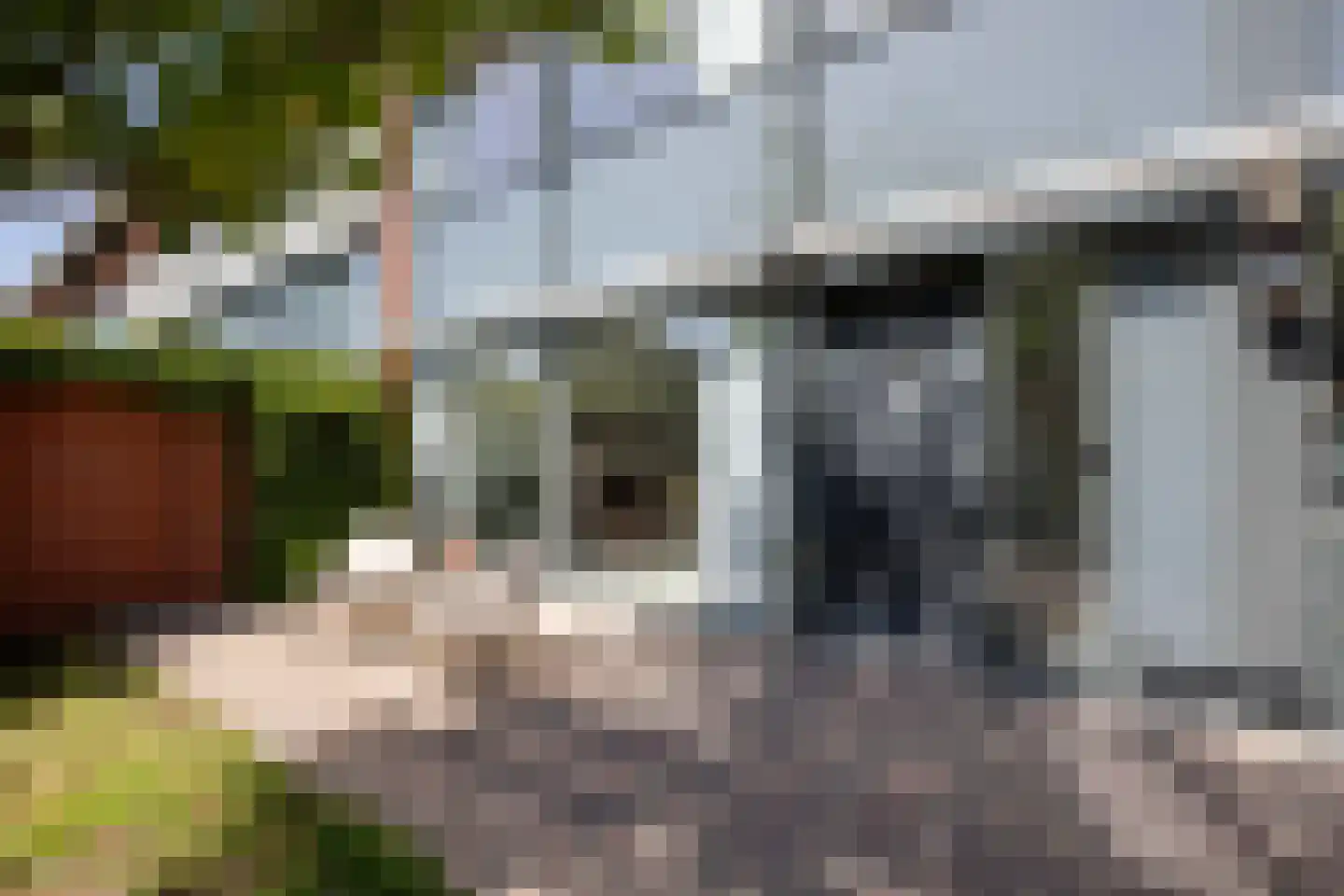 Coen van Boshuizenlaan 75 Ouderkerk aan de Amstel thumbnail 7