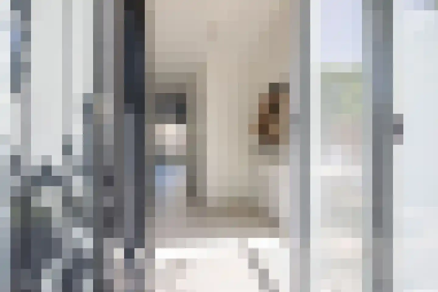 Coen van Boshuizenlaan 75 Ouderkerk aan de Amstel thumbnail 8