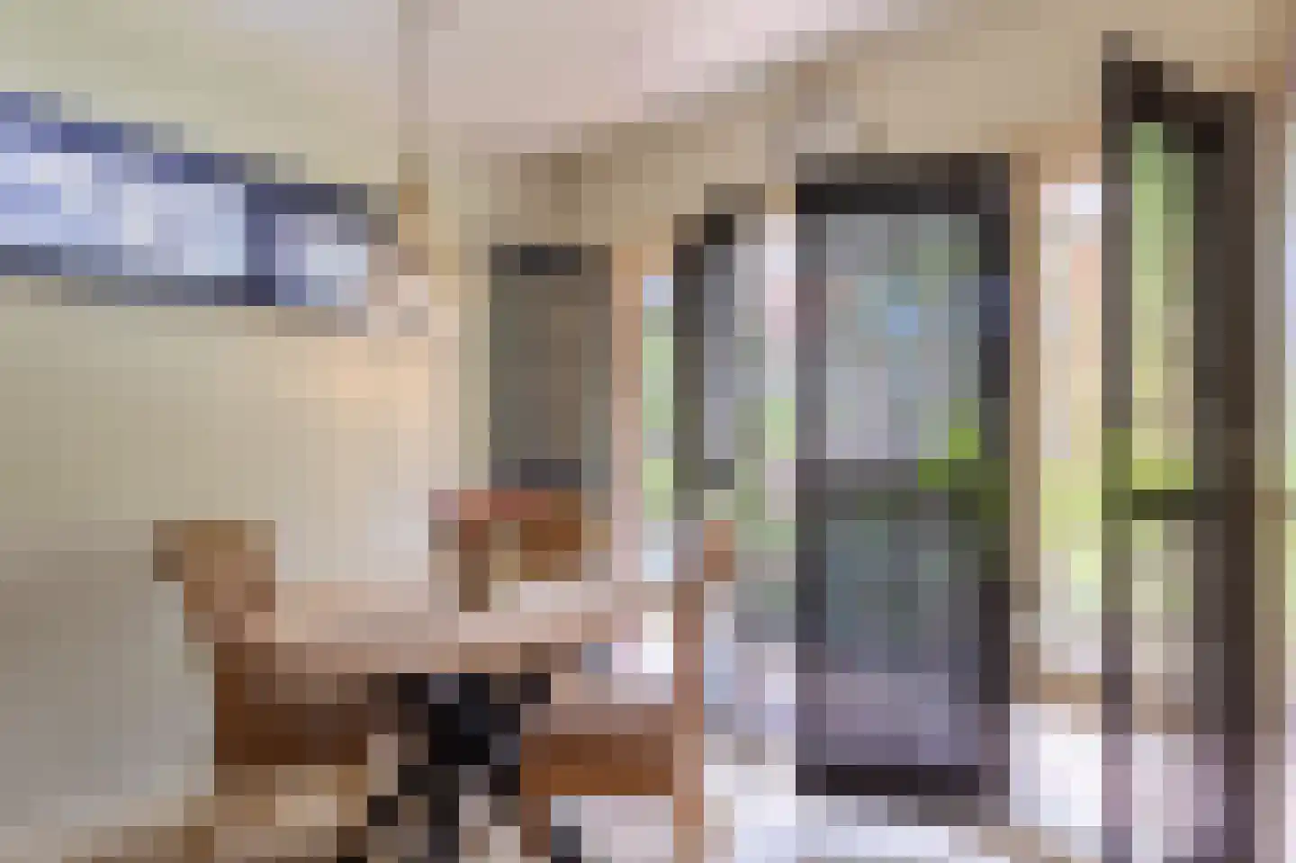 Coendersberglaan 5 Helmond thumbnail 17