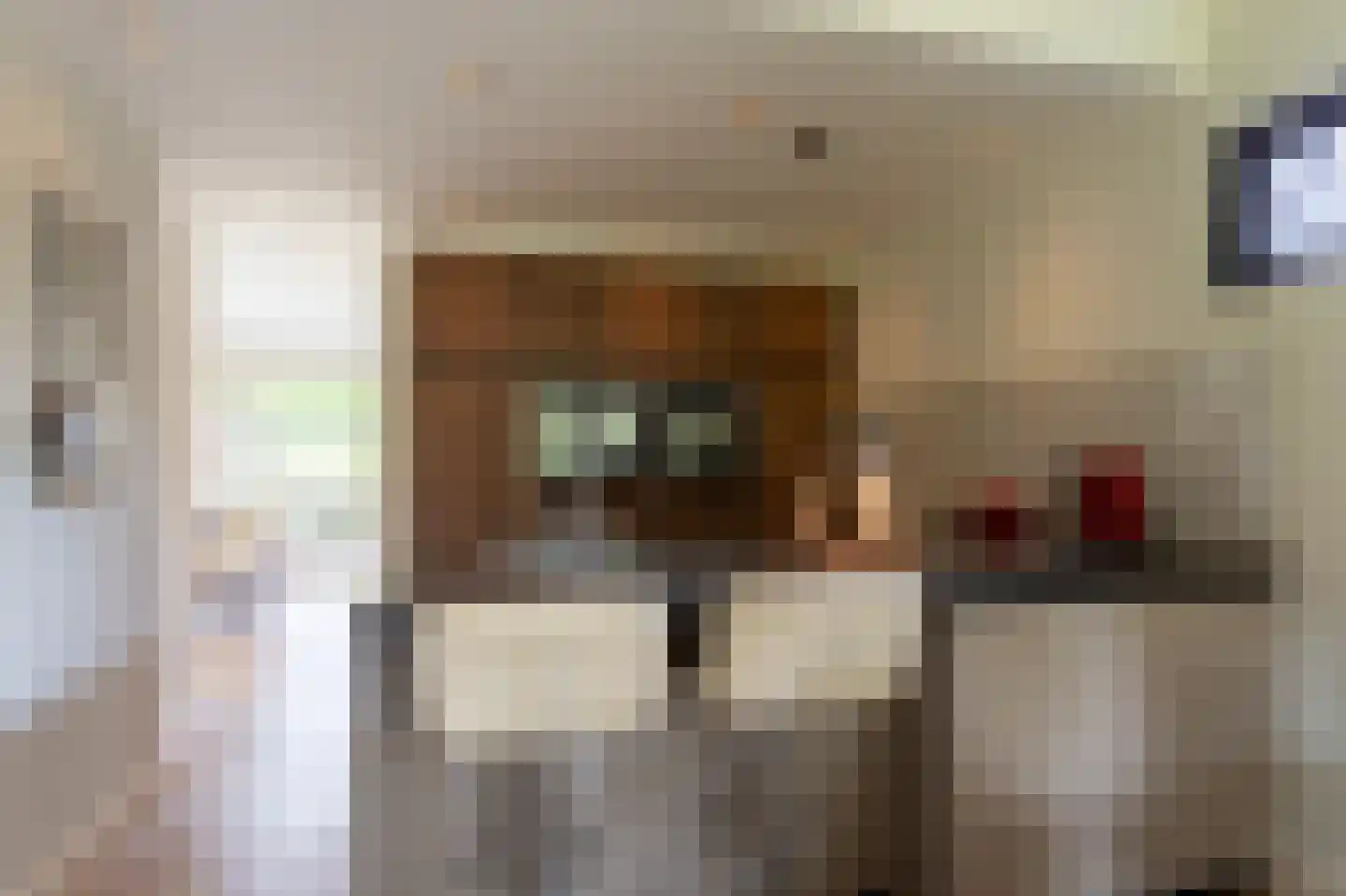 Coendersberglaan 5 Helmond thumbnail 18