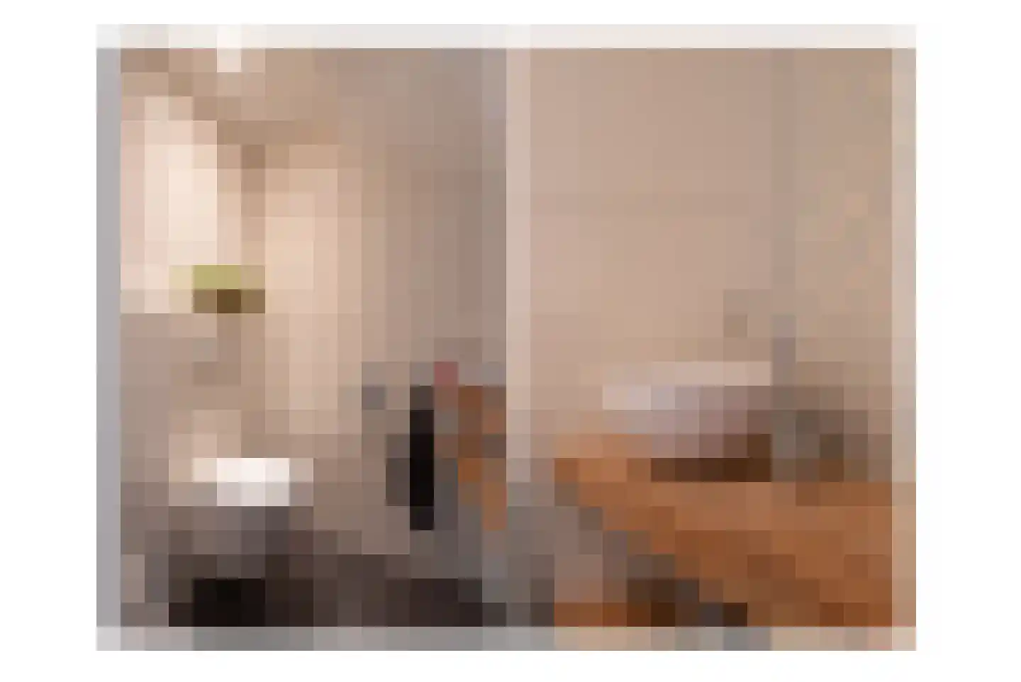 Coendersberglaan 5 Helmond thumbnail 22