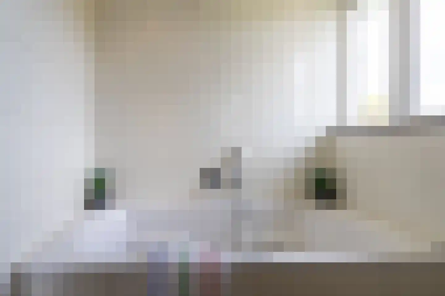 Coendersberglaan 5 Helmond thumbnail 27