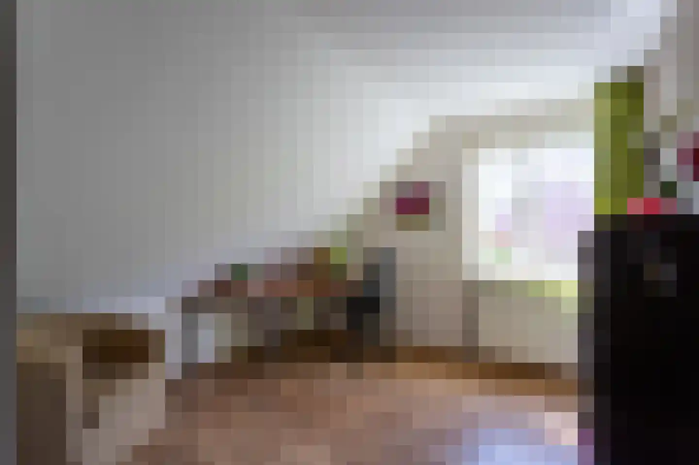 Coendersberglaan 5 Helmond thumbnail 30