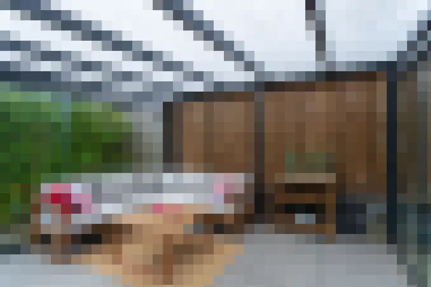 Coendersberglaan 5 Helmond thumbnail 40