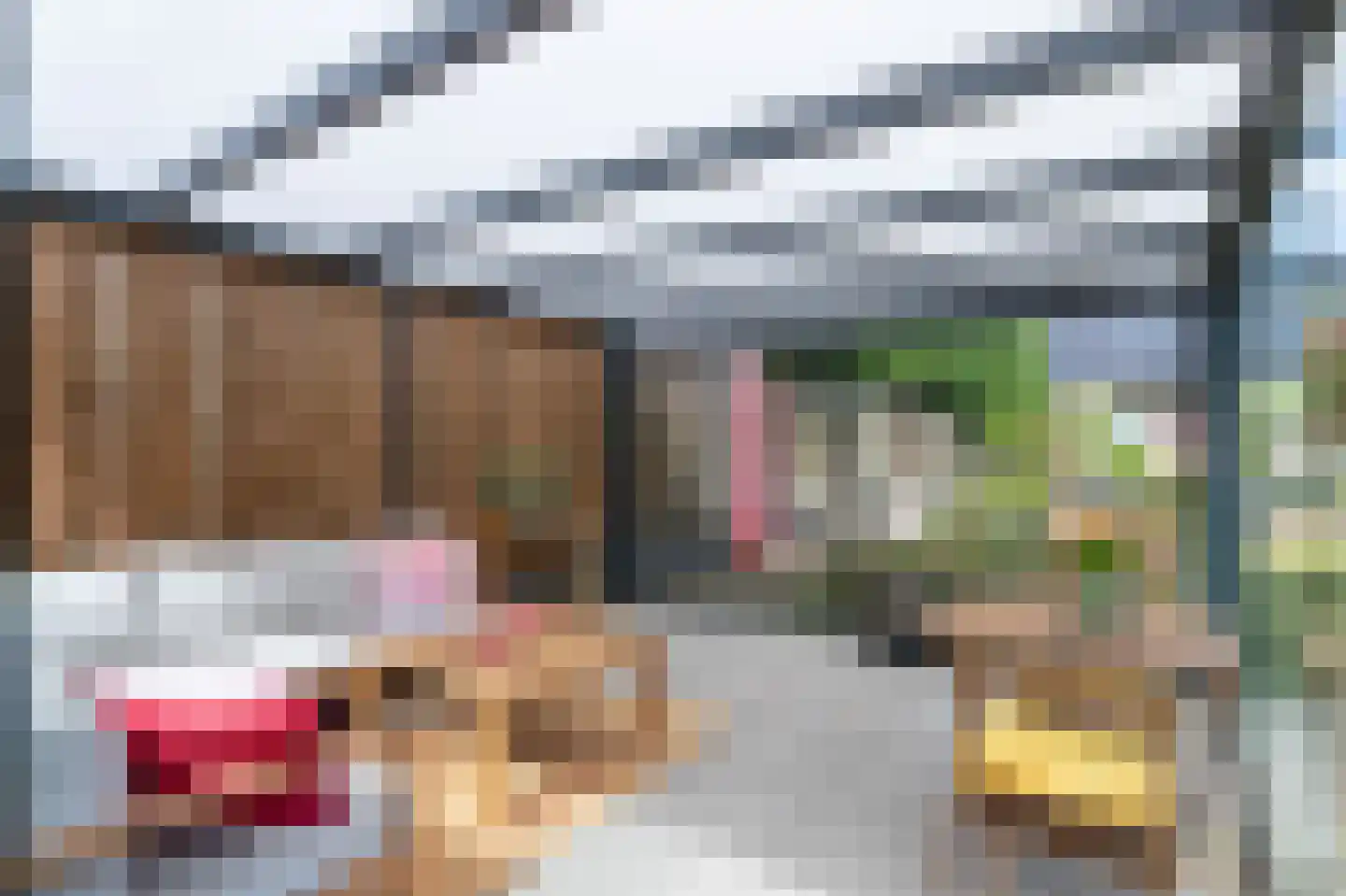 Coendersberglaan 5 Helmond thumbnail 41