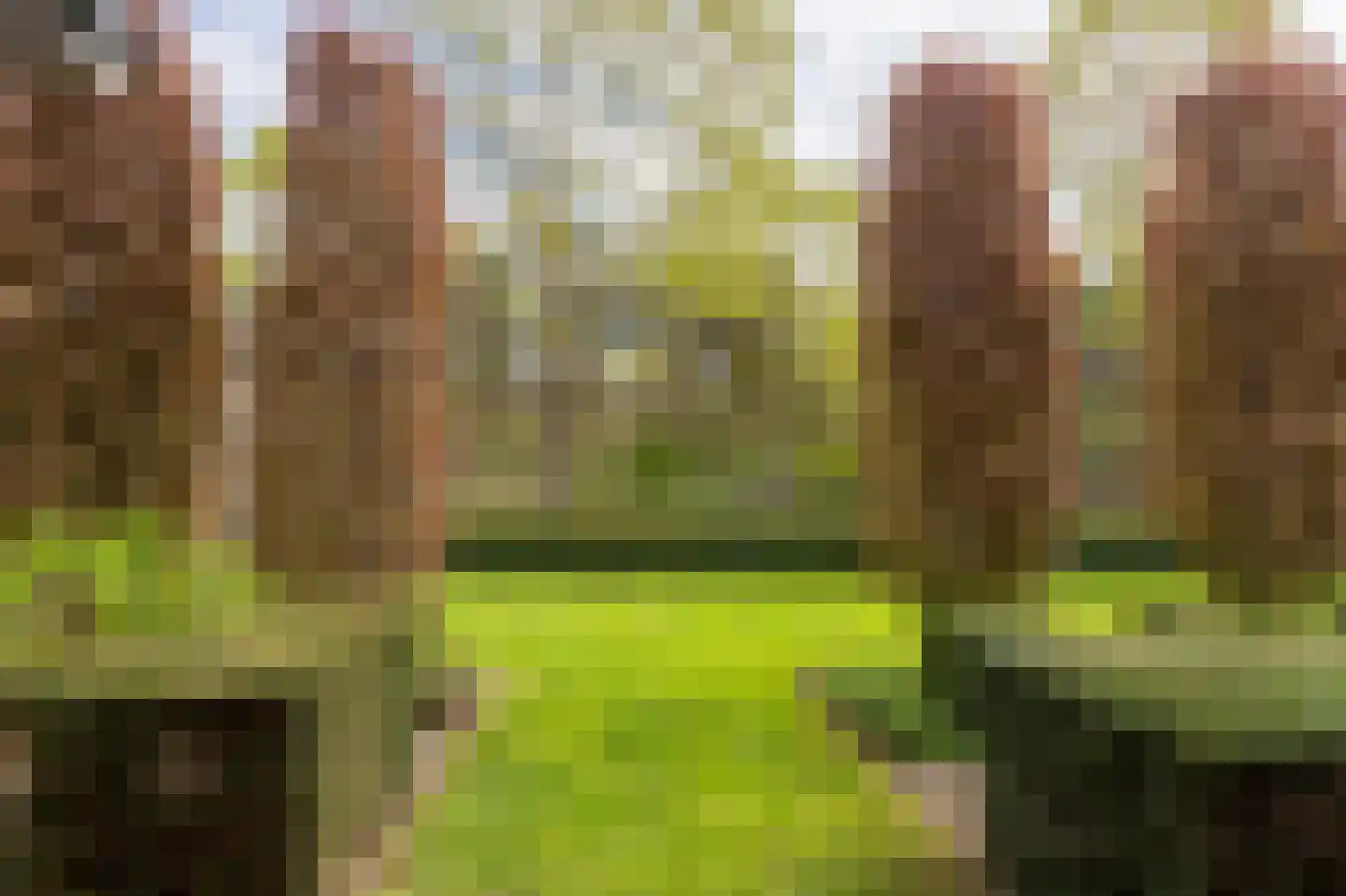 Coendersberglaan 5 Helmond thumbnail 46